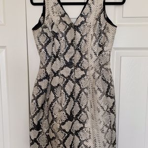 Snakeskin Fit and Flair Dress